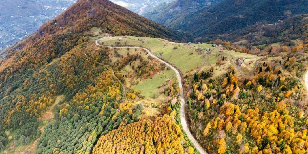 Karadeniz'in yaylaları eşsiz görünümde! Şimdi keşfin tam zamanı: Bu hali ayrı cezbedecek 5
